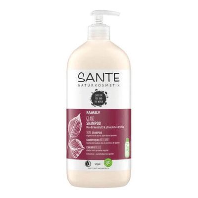 Sante FAMILY Glanz Shampoo Bio-Birkenblatt & pflanzliches Protein