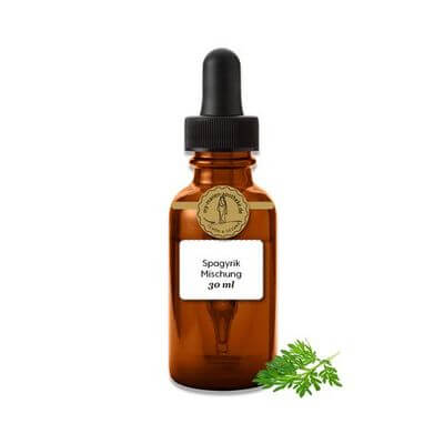 Mandragora officinalis spagyrische Einzelessenz